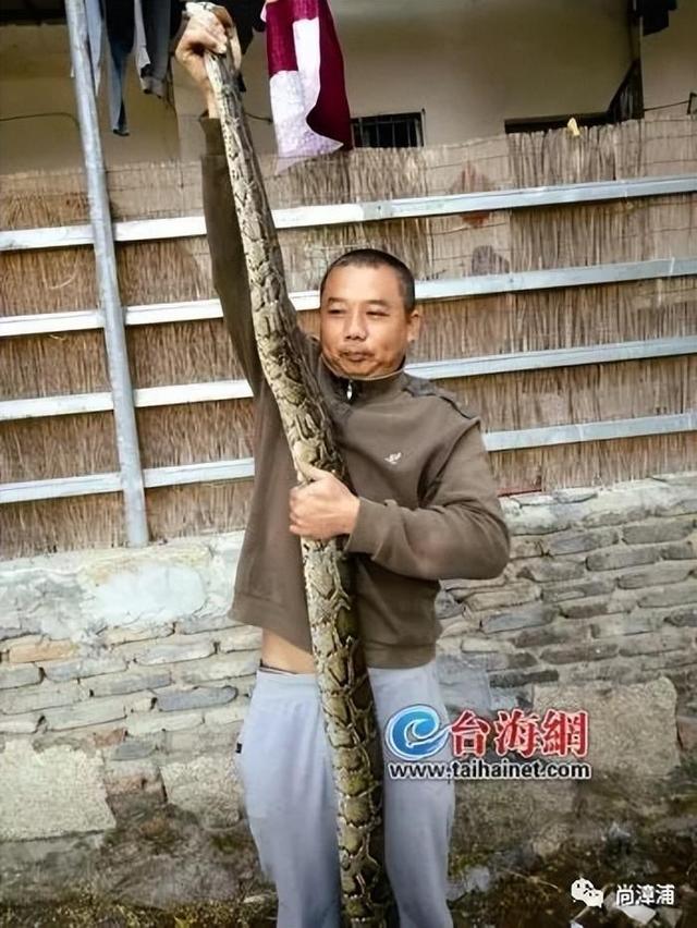 博主两天涨粉200万电话被打爆交给朋友接听CQ9电子三亚女游客被蛇咬身亡事件带火蛇类(图7)