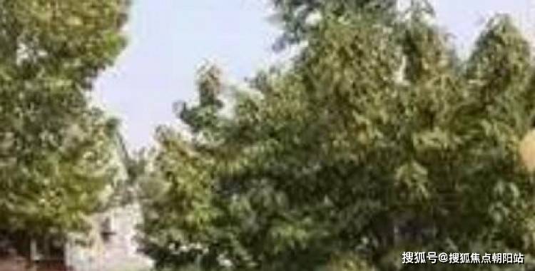 镇养老照中心 联系电话-地址简介收费CQ